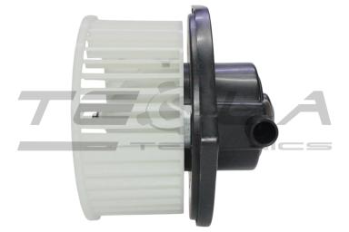 Blower motor with fun TT21217