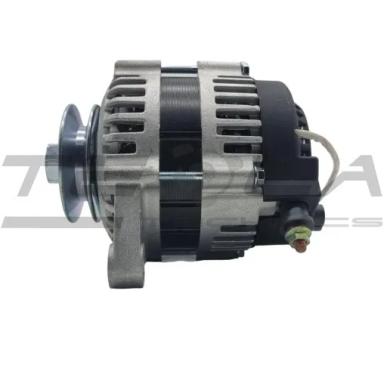Alternator TT12030