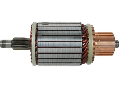 Armature TT71455