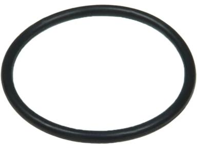Sealing ring TT90365