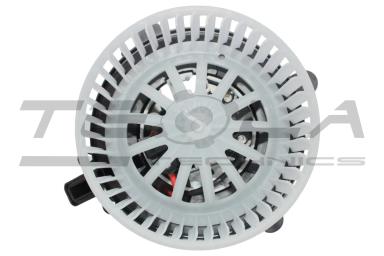 Blower motor with fun TT21216